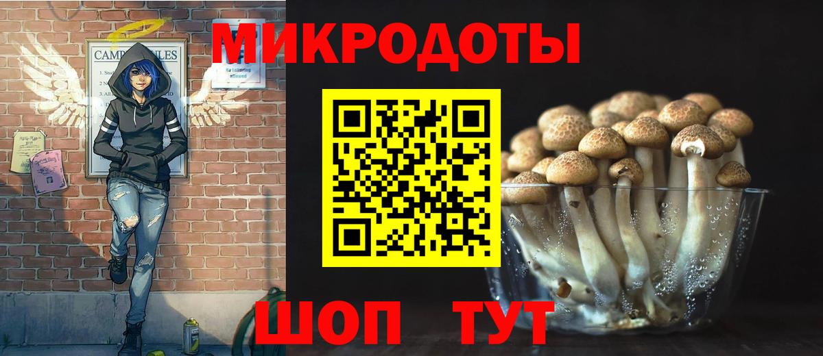 Галлюциногенные грибы мухоморы Гатчина