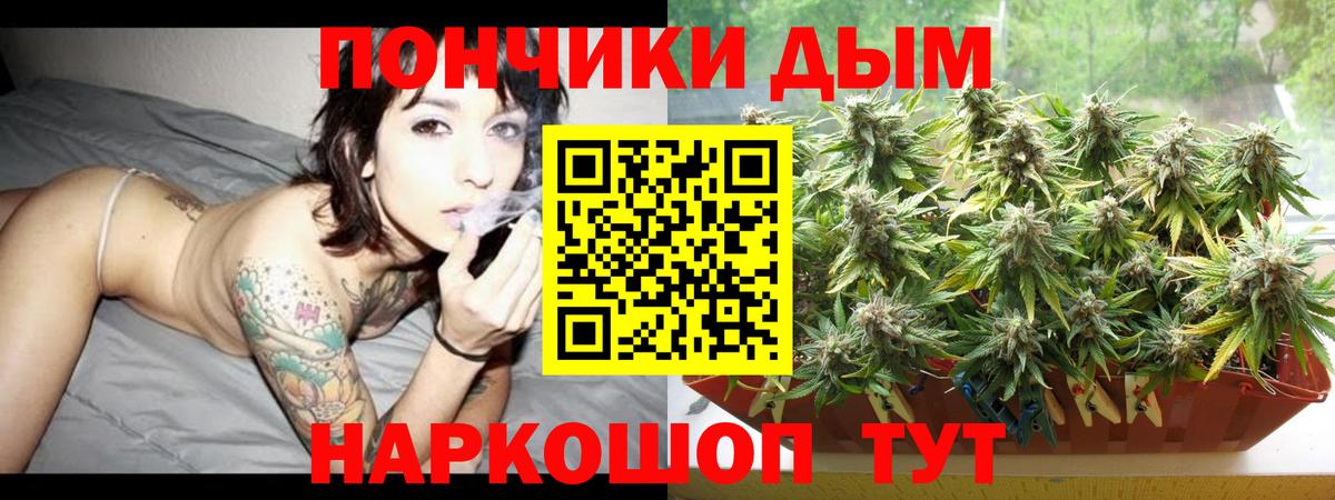 Канабис план Гатчина
